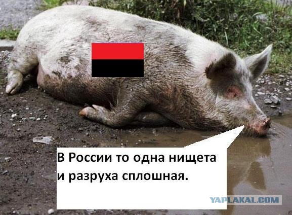 Россияне устали от нищеты