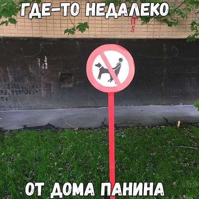 134 картинки для поднятия настроения!