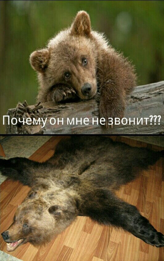 Журнал школьный деградант