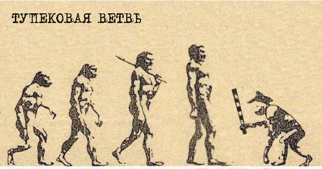 Учебник по эволюции на новый лад
