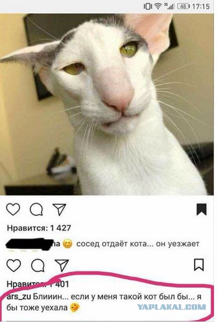 Всякие странные картинки