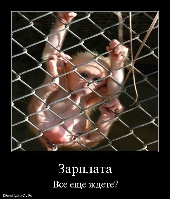 Для тех кто живет от зарплаты до зарплаты!