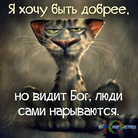 Итоги проверки пользователей