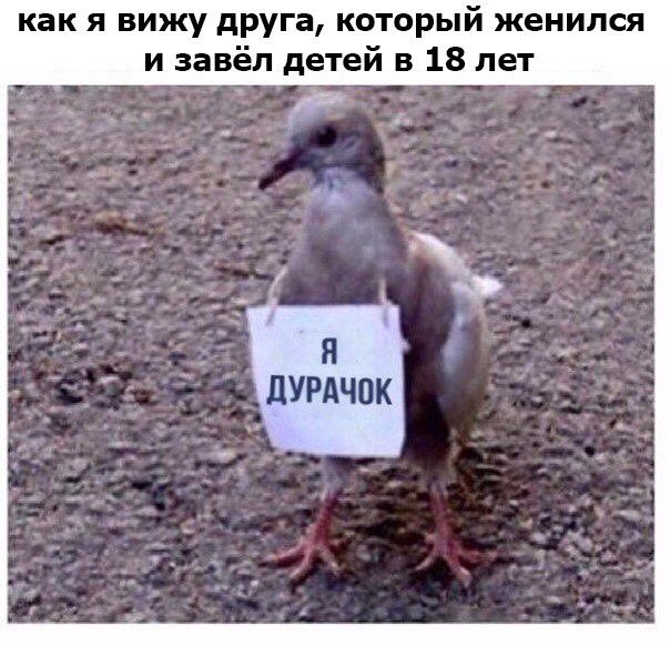 Допекла мужа его маленькой зарплатой – он сменил работу и в первый же день разбился