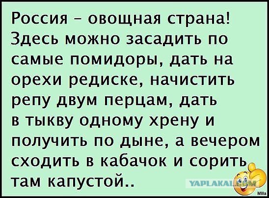 Нестандартный юмор