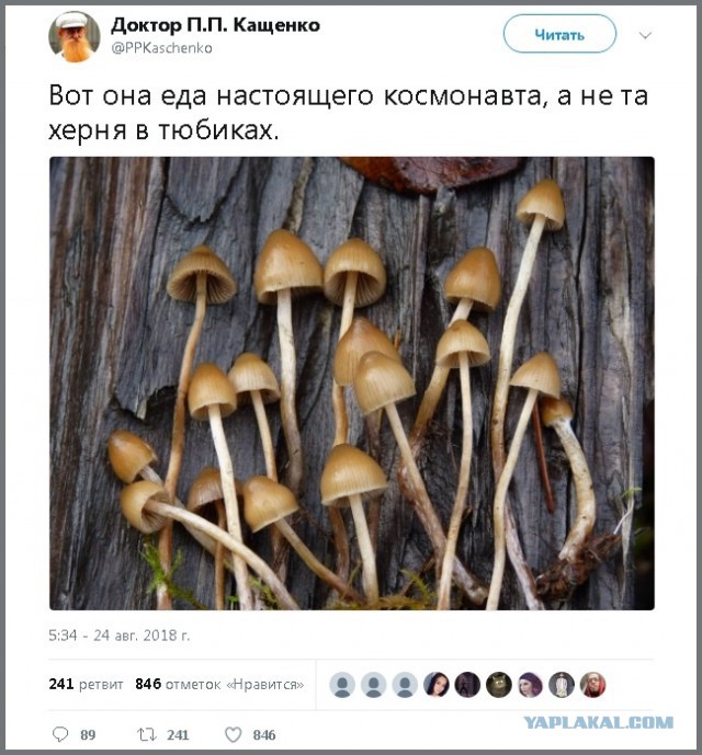 Прикольные комментарии и высказывания из Сети