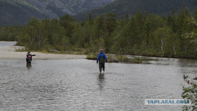 На море в шерстяных носках