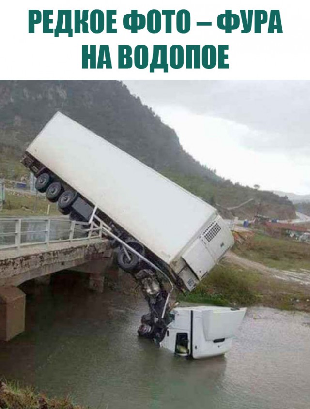 Никогда такого не видел