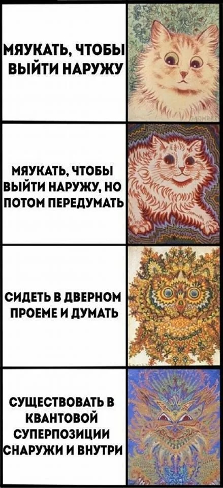 Доказательства, кошки - самые противоречивые создания на планете