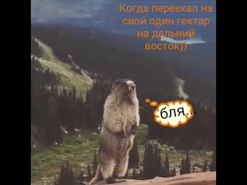Нашлось объяснение, как сын Матвиенко стал миллиардером
