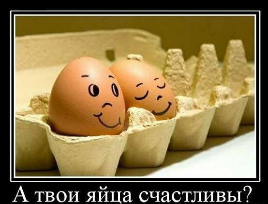 Анекдоты, соц-сети и картинки с надписями