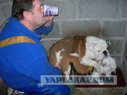 Угадайки