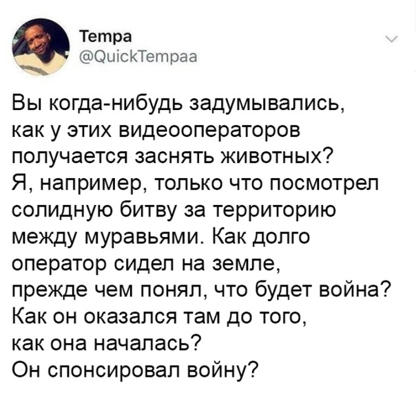 Чуток картинок!