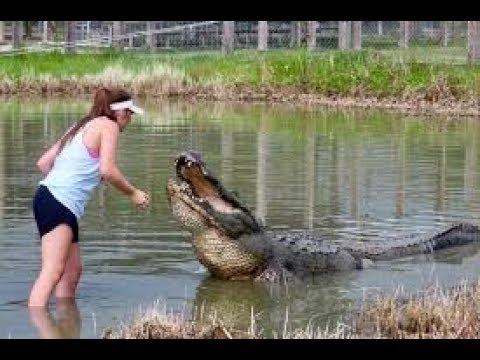 Что можно купить в США, по цене однушки в Москве