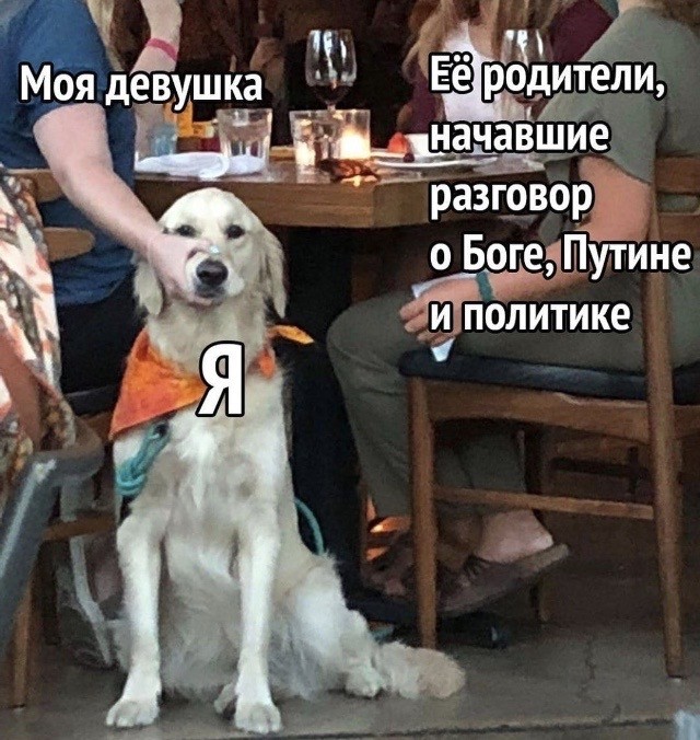 Чуток картинок 13.06.20