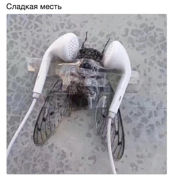 Квадромух или мухокоптер