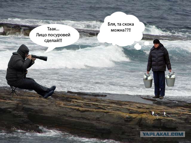 Внимательный фотограф