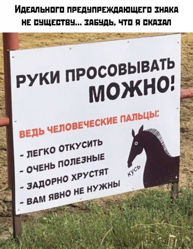Бредзона 21.08.2020