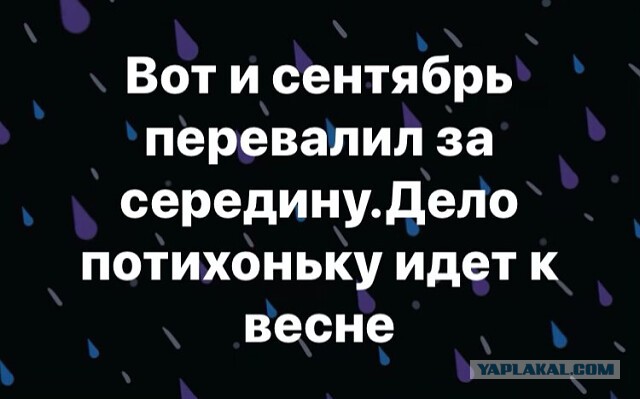 Юмор в картинках 27.09.20