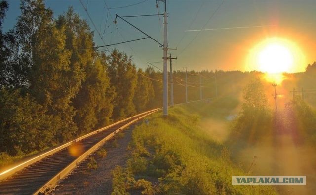 Картинки разные