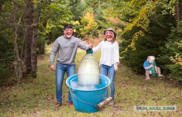 Фотожаба: семья в лесу