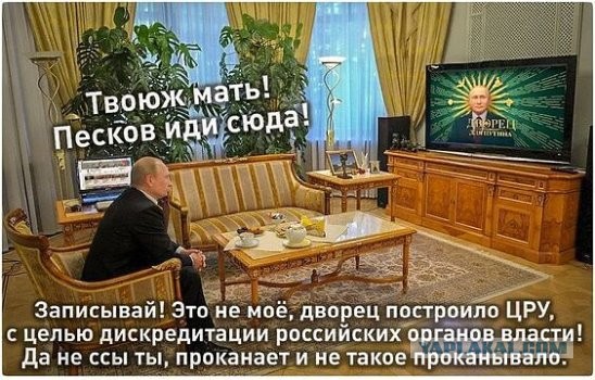 Путин ответил на расследование Навального о дворце в Геленджике
