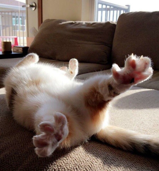 Добрые картинки 28.11.20