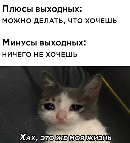 Картинки и мемы для настроения 016