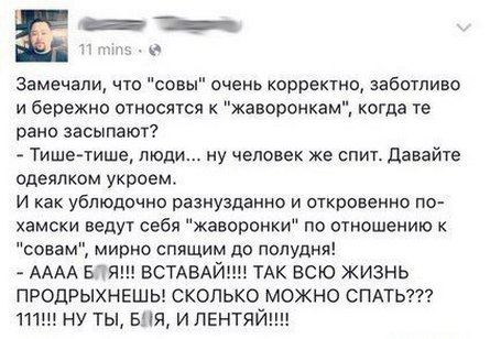 В Городе Сов