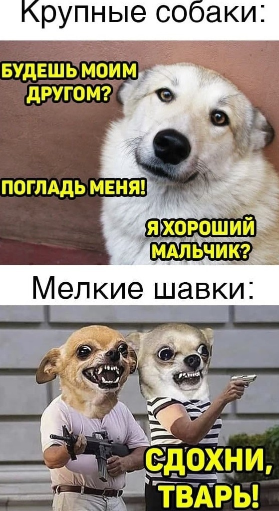 Всё шуточки