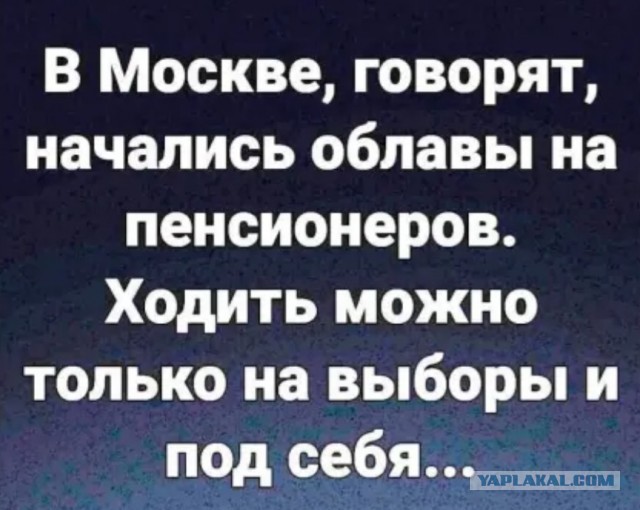 Забавные и веселые картинки
