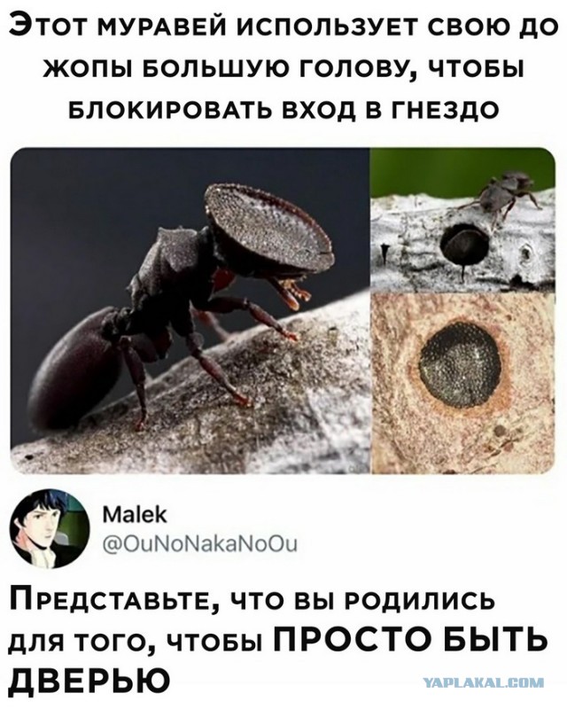 Так себе картинки 07.05.22