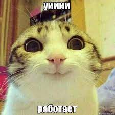 Новая забава: которобка