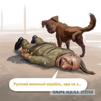 На Украине начали выпускать антироссийские сыр и колбасу.