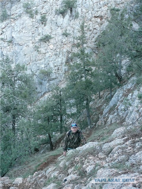 Форель, горный Крым.