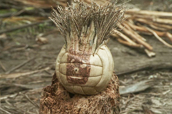 Велопутешествие к морю