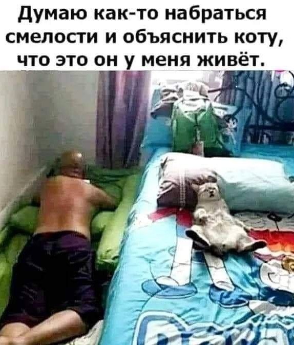 Забавные комментарии из социальных сетей (25.07.22)