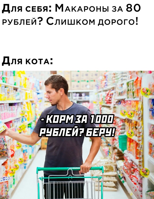 Картинки и мемы для настроения - 17