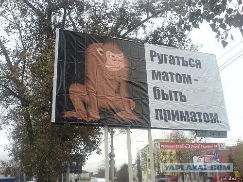 Как разговаривают "цветы жизни" в соц. сетях