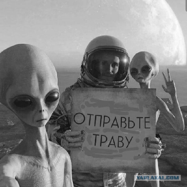 Прикольные и просто красивые картинки 28.03.2023