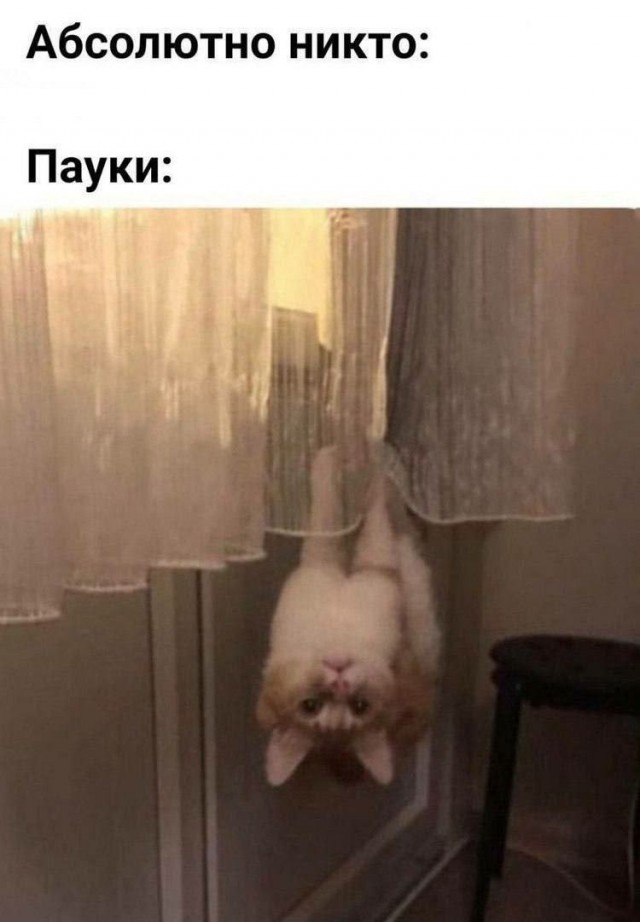 Картинки и мемы, всем хороших выходных