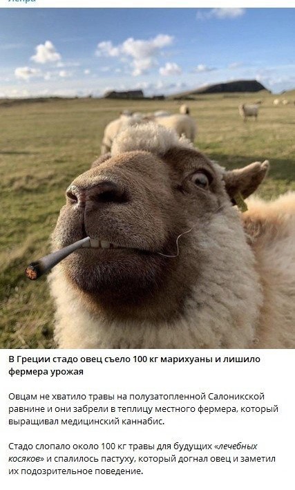 Бессистемно: картинки, лайфаки, баяны…