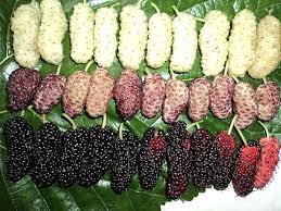 16 странных "вкусняшек", которыми были не прочь полакомиться дети в СССР