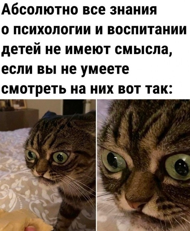 Мемчики и картинки для настроения и подумать