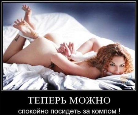 Холостяцкое