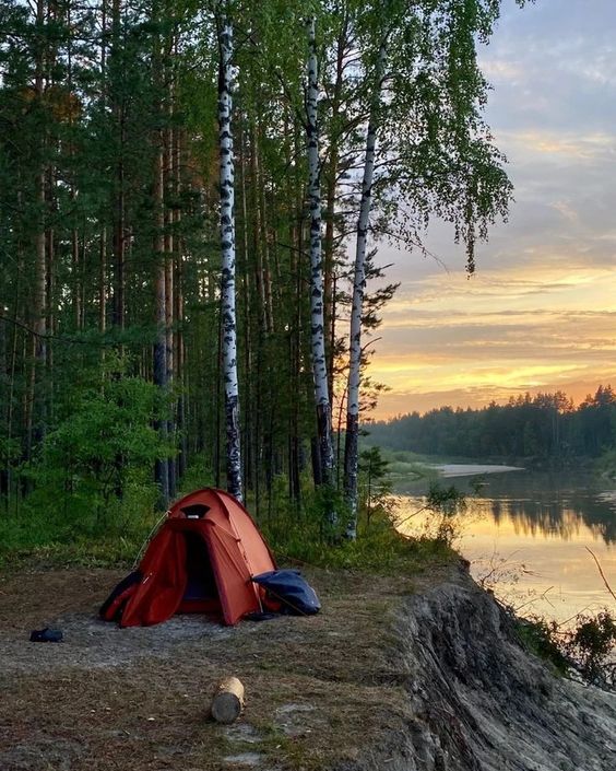 Прикольные и просто красивые картинки 14.05.2024