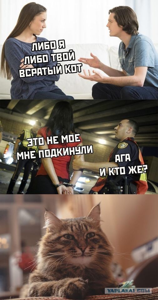 Картинки и буквы 24.06.2024