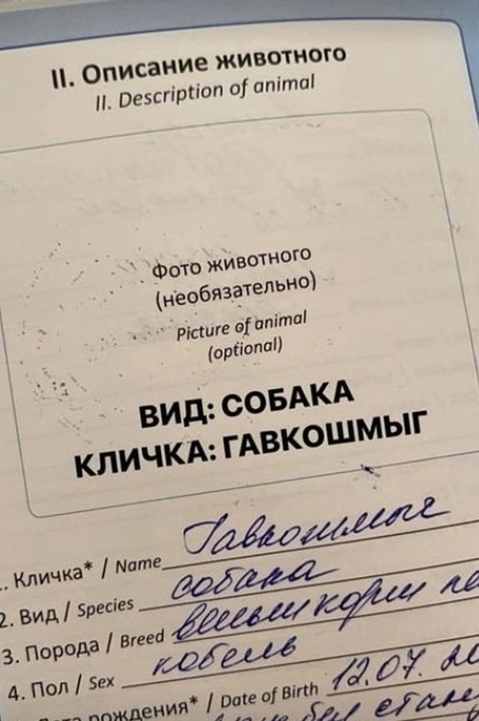 Так себе картинки 30.10.24