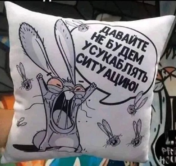 Прикольные и просто красивые картинки 10.12.2024