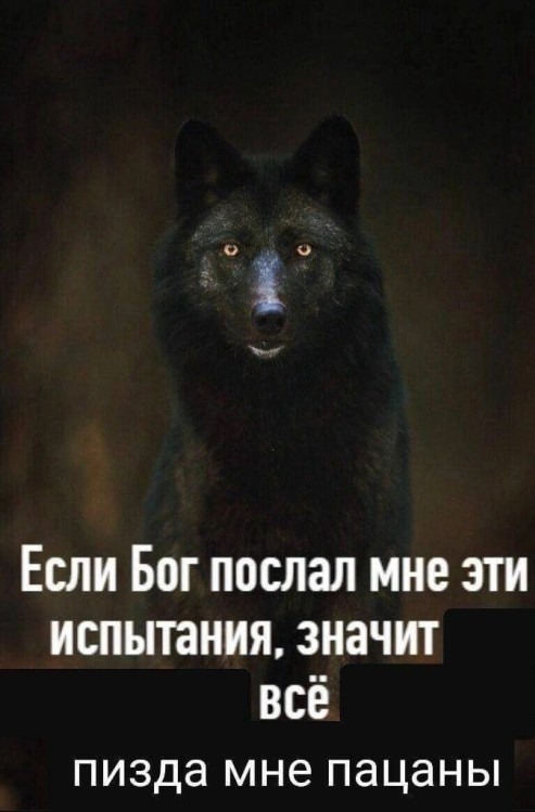 Картинок немного